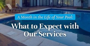 A Month in the Life of Your Pool: What to Expect with Our Services