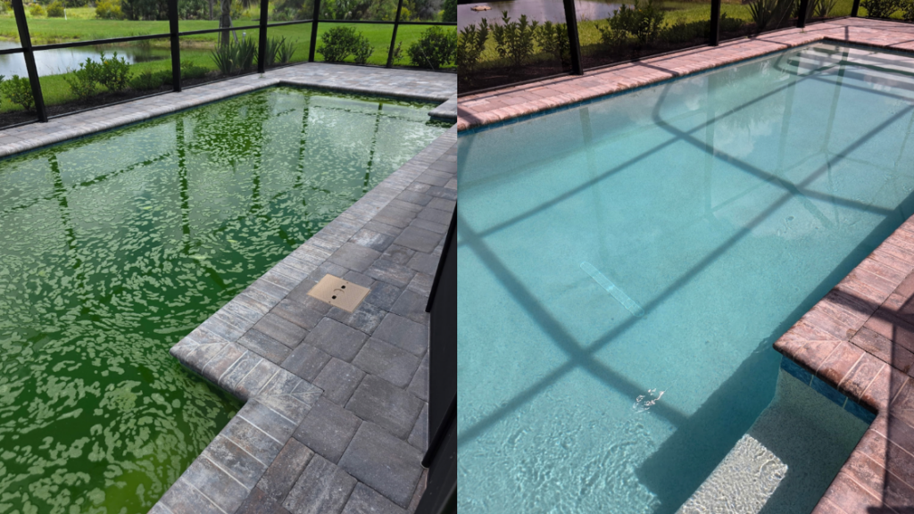 Green to Clean